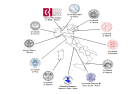 Network italiano di studio sulle malattie mitocondriali.A